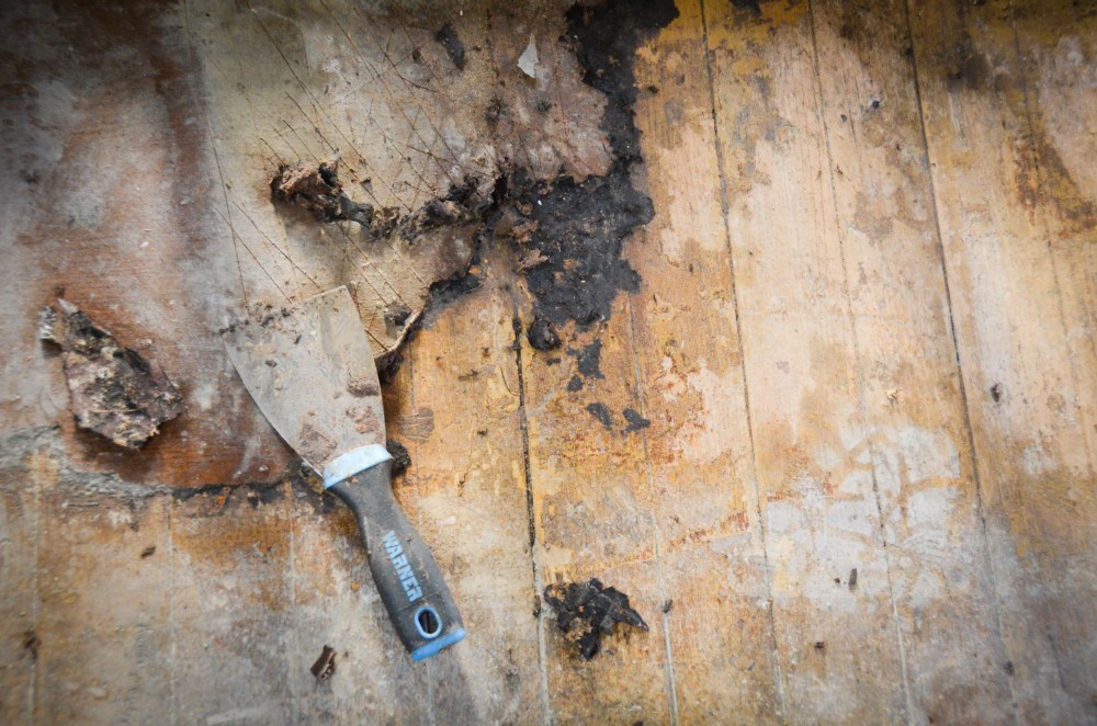 removing linoleum from our hardwood floors