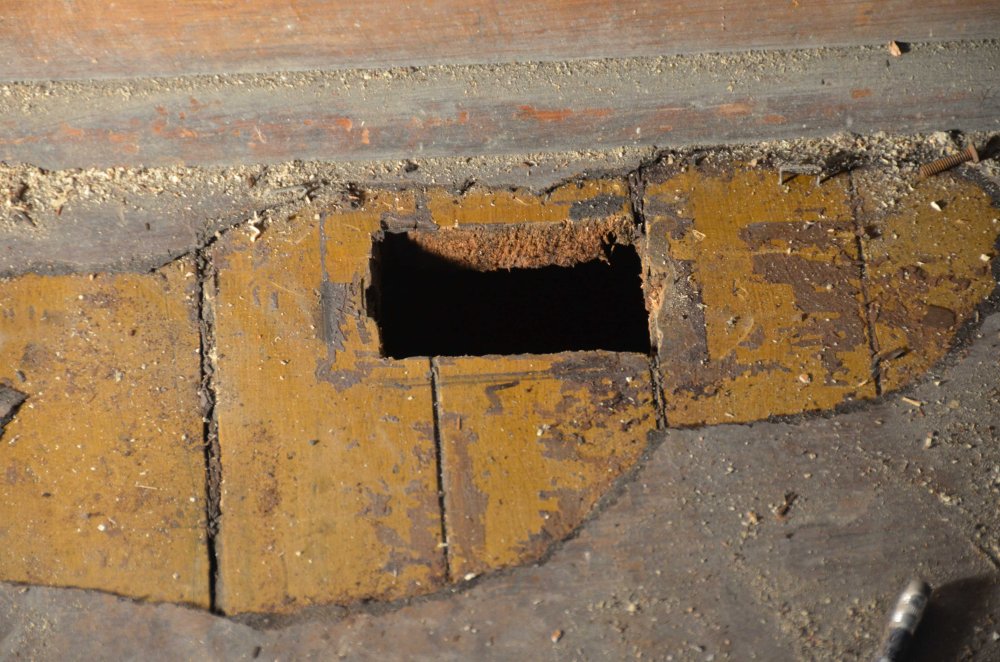 An old receptacle location in the floor. 