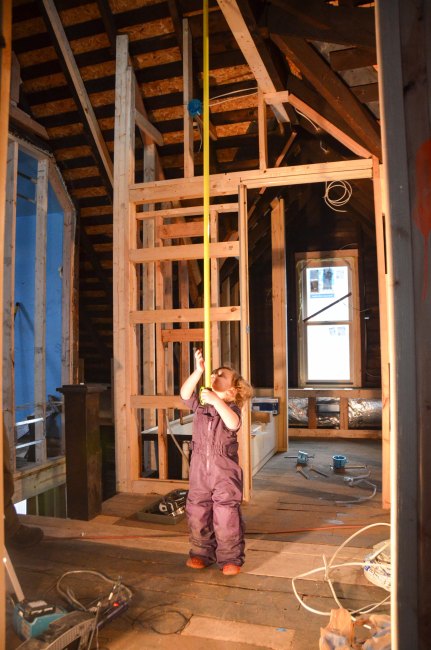 Lucy checking out the mysterious hanging tape measure