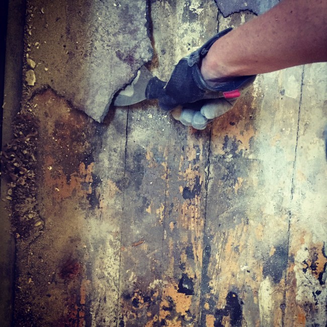 STEP ONE: remove linoleum