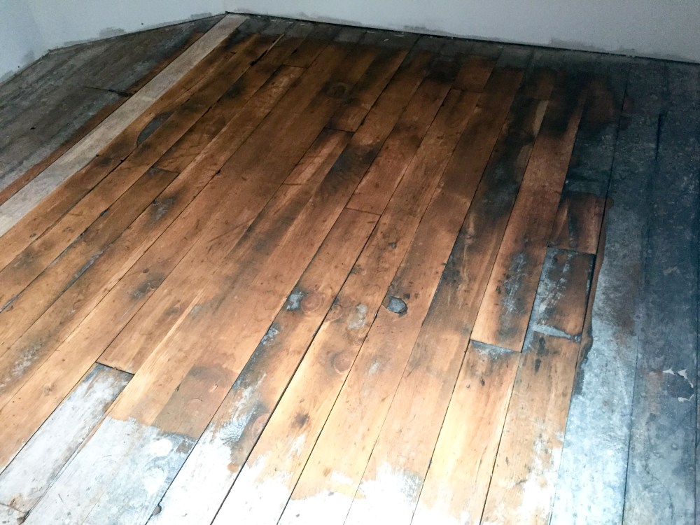 My very first sanding with the 36 grit