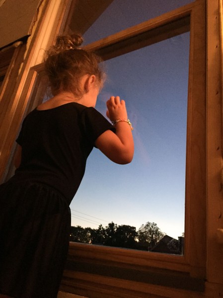 Lucy, checking out the neighborhood at dusk